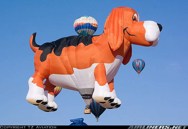 crazy-hot-air-balloon14.jpg