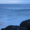 swell in Anglet