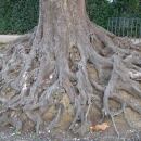 Boboli Gardens Florence Photos