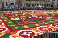 Brussels Flower Carpet