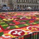 Grand Place Flower Carpet