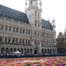 Flower Carpet