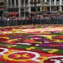 Brussels Flower Carpet