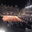 Flowers Brussels Belgium