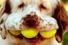 Cool Pics