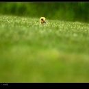 Cool Pics
