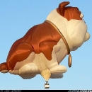 crazy-hot-air-balloon10.jpg