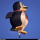 crazy-hot-air-balloon35.jpg