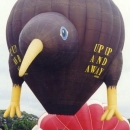 crazy-hot-air-balloon42.jpg