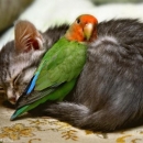 crazy-photos43.jpg