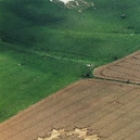 crop-circles-1997-08-08-Milk-Hill-Wiltshire