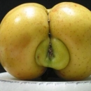horny-nature19.jpg