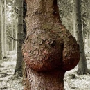horny-nature6.jpg