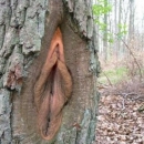 horny-nature9.jpg
