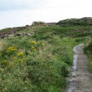 Path in Howth