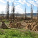 Lake Balaton Hungary Photos