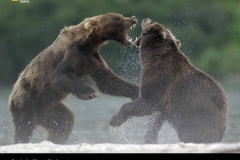 National Geographic