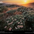 national-geographic03.jpg