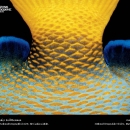 national-geographic04.jpg