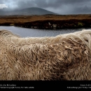 national-geographic05.jpg