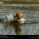 national-geographic16.jpg