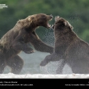 national-geographic17.jpg