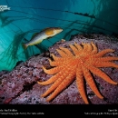 national-geographic24.jpg