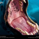 national-geographic27.jpg