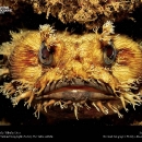 national-geographic31.jpg