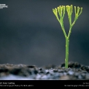 national-geographic35.jpg