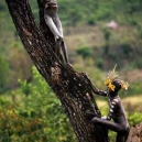 Omo Tribe Ethiopia Body Painting