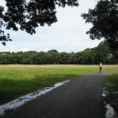 Phoenix Park Dublin