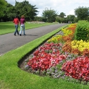 Phoenix Park Flowers