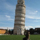 Pisa Italy Leaning Tower Pictures