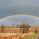 Rainbow Photos