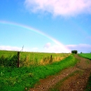 Rainbow Picture