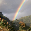 Rainbow Photos