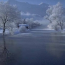 snow-beauty5.jpg