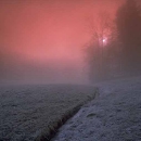 snow-beauty8.jpg