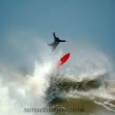 Surfer Wipe out Big Surf