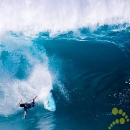 Surfer Wipe Out Big Waves