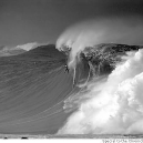 Surfer Wipes Out Extreme Surfing