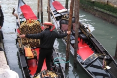 Venice Photo Gallery