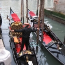 Venice Italy Photo Gallery