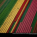 Yann Arthus Bertrand