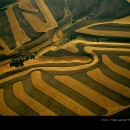 Yann Arthus Bertrand