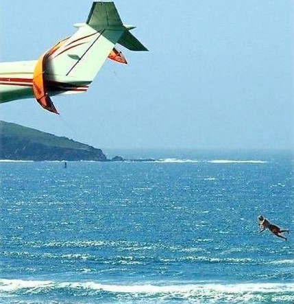 Humour Kite Surfer caught on a Airplane