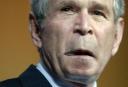 Monkey Face George W Bush