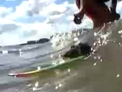 Surf Mouse Surf Mouse