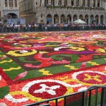 Brussels Flower Carpet